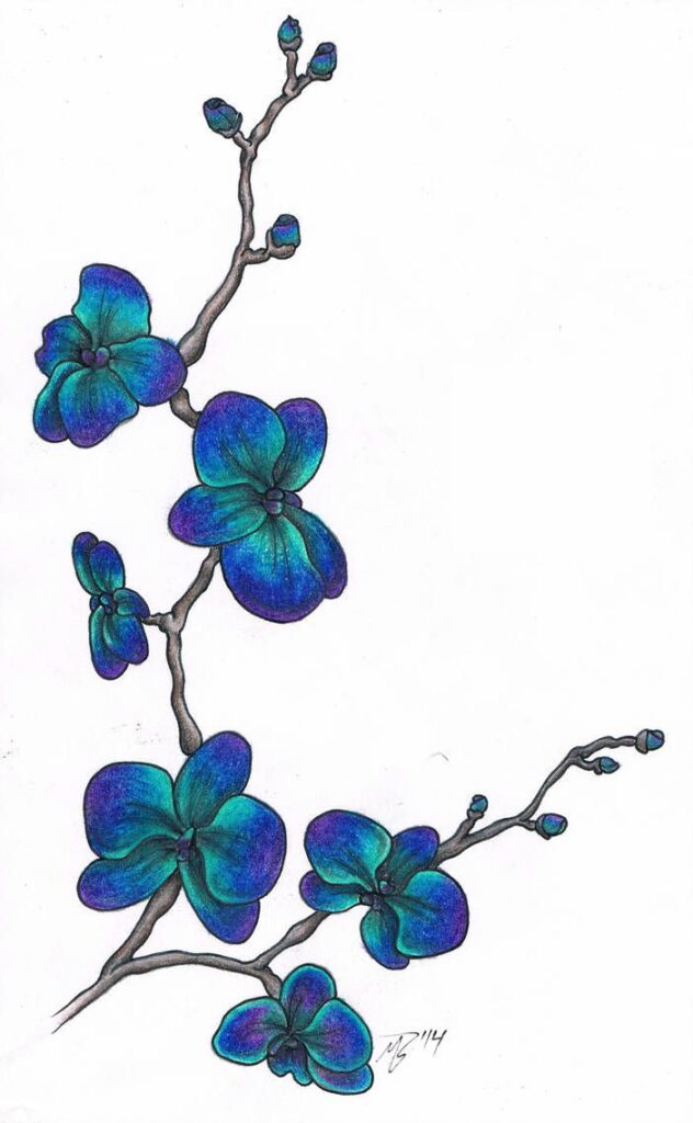 Orchid Tattoo 38