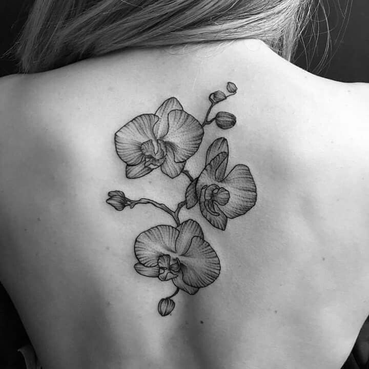 Orchid Tattoo 39