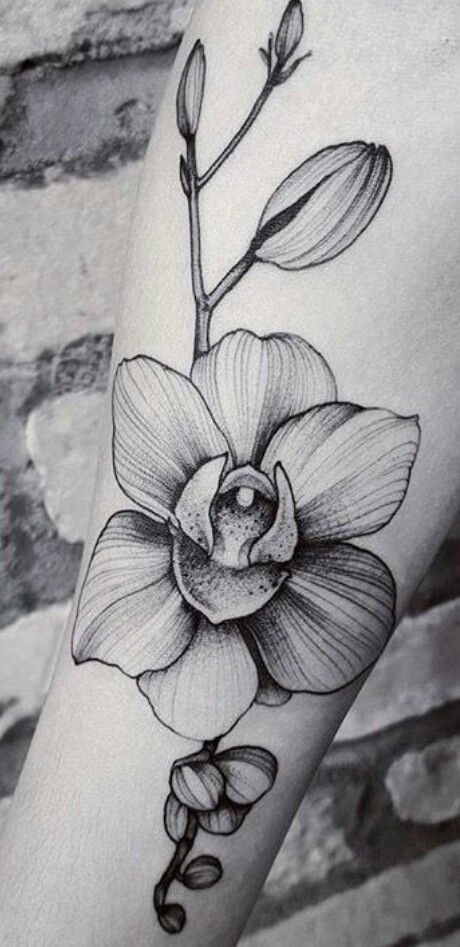 Orchid Tattoo 50