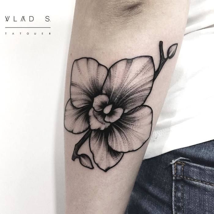 Orchid Tattoo 53