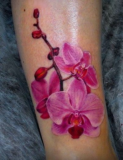 Orchid Tattoo 59