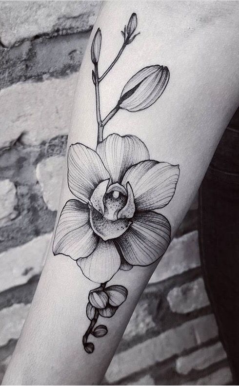 Orchid Tattoo 63