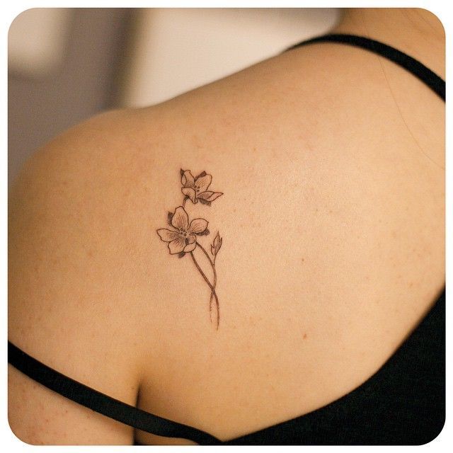 Orchid Tattoo 65
