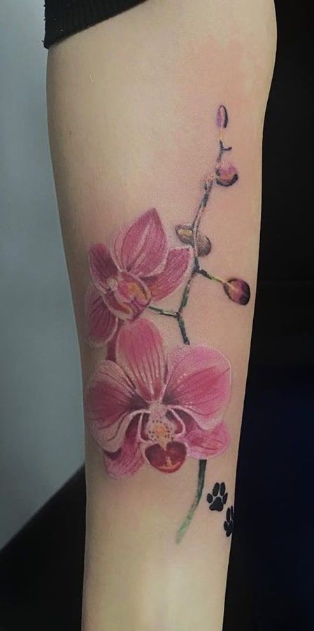 Orchid Tattoo 68