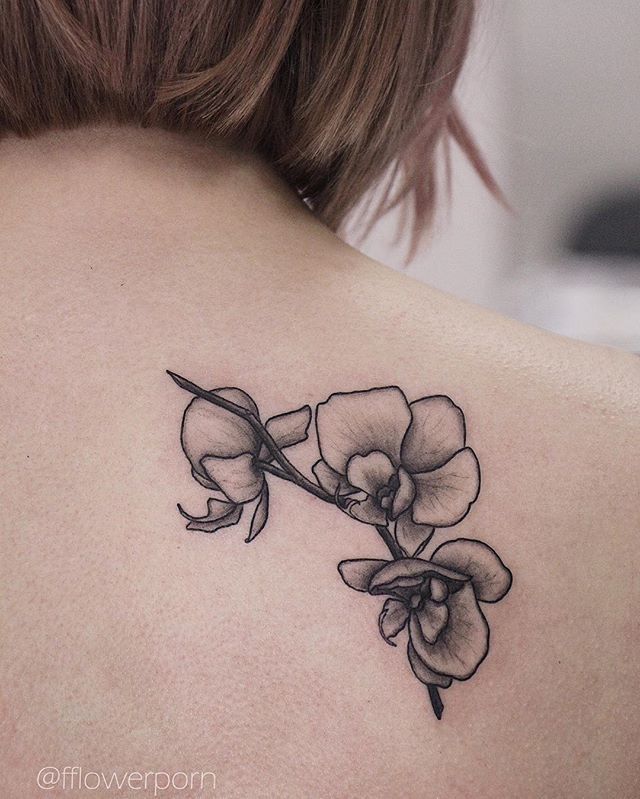 Orchid Tattoo 69
