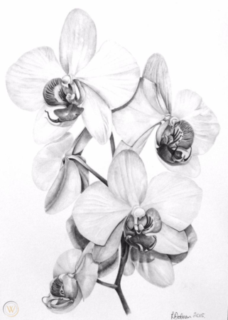 220+ Unparalleled Orchid Tattoo Designs With Meanings (2022 ...