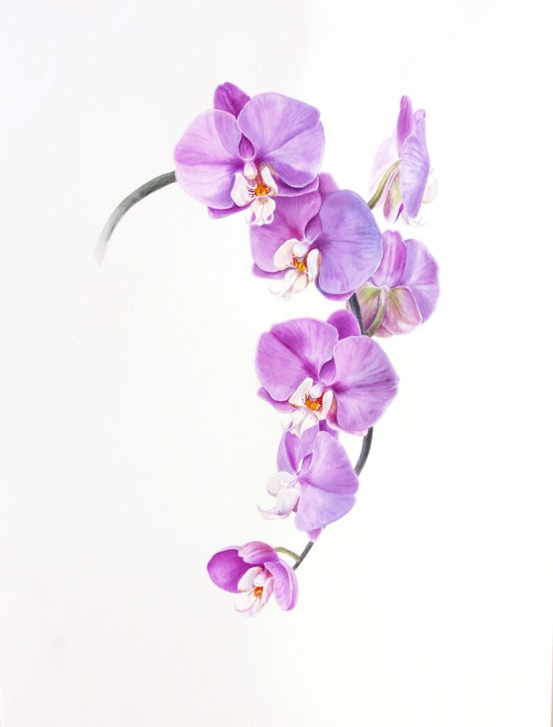 Orchid Tattoo 71