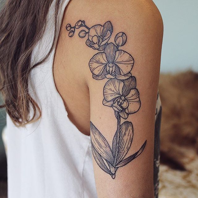 Orchid Tattoo 72