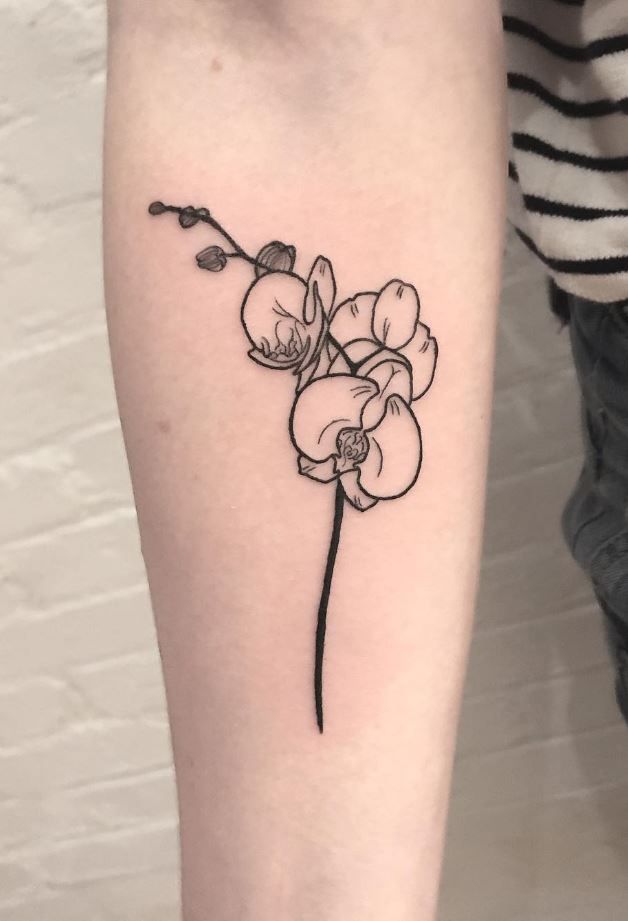 Orchid Tattoo 88