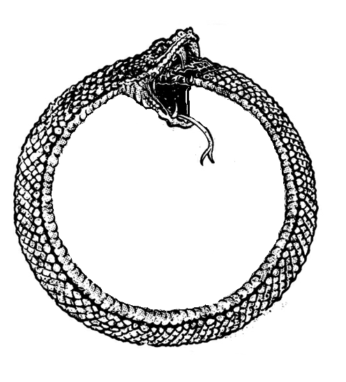 Tatuaje de Ouroboros 9