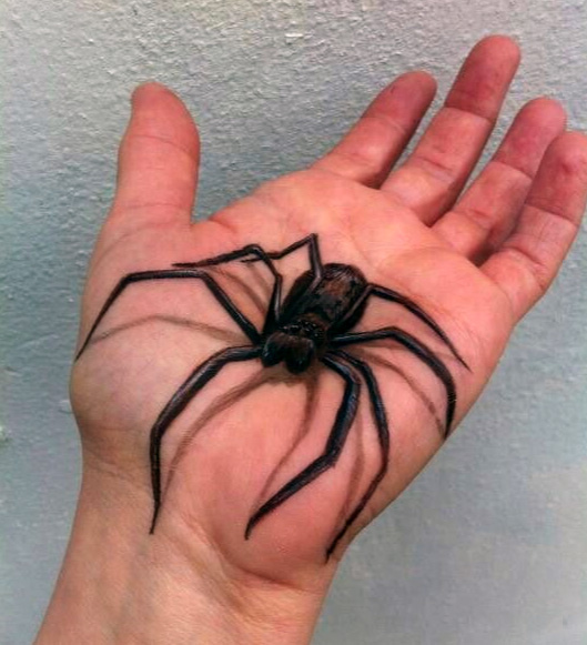 Spider Tattoo 10