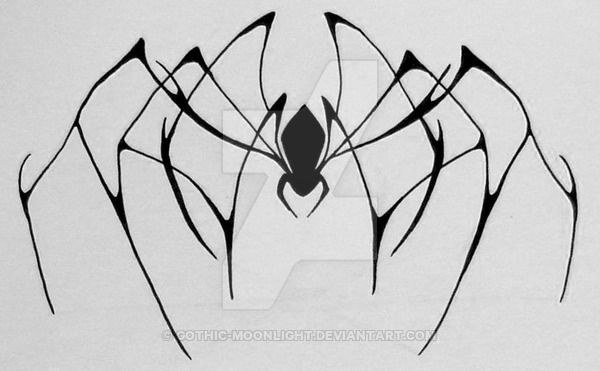 Spider Tattoo 117