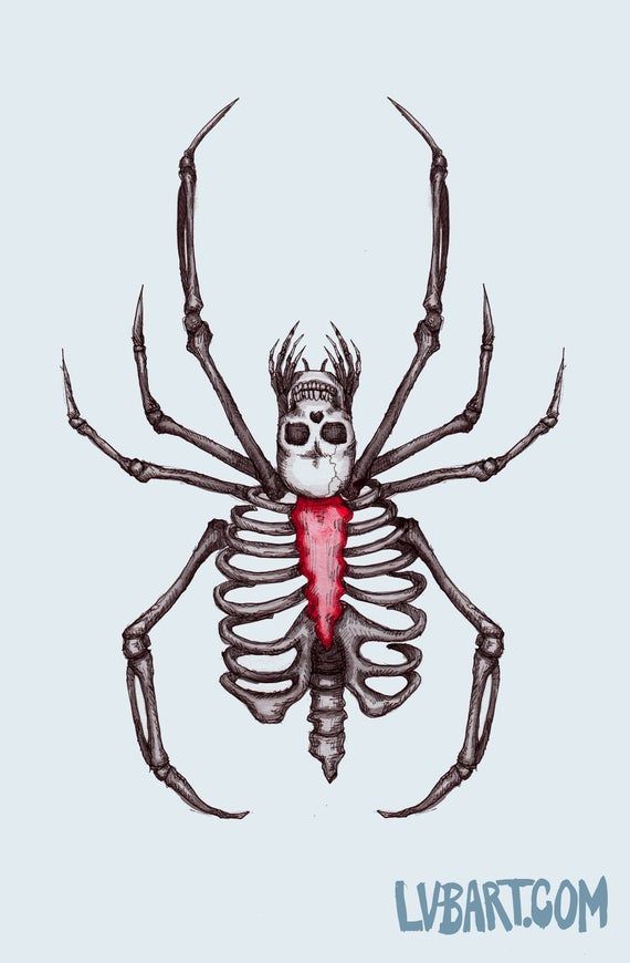 Spider Tattoo 136