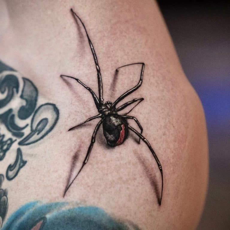 Spider Tattoo 185