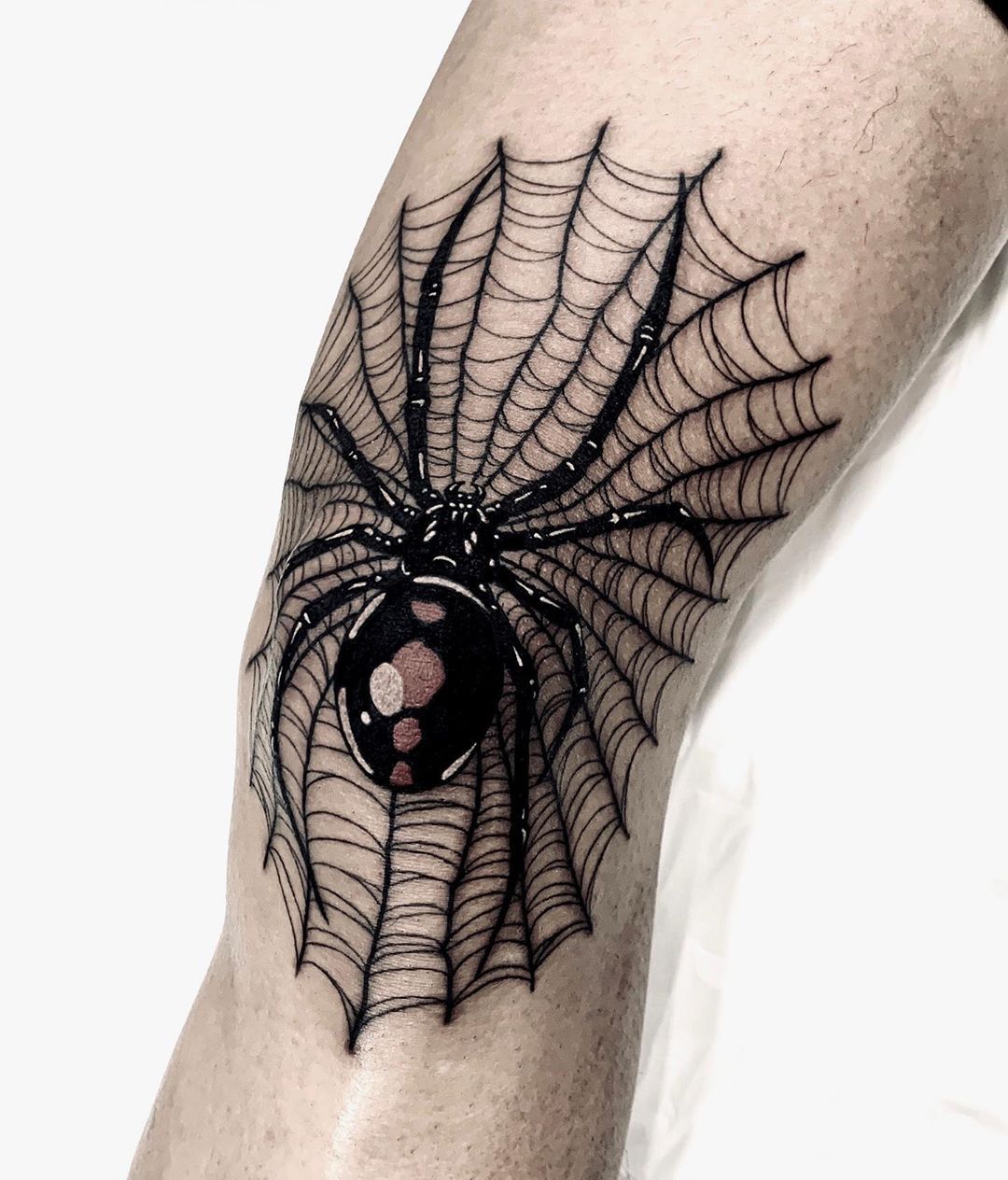 Spider Tattoo on Arm.