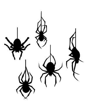 Spider Tattoo 2