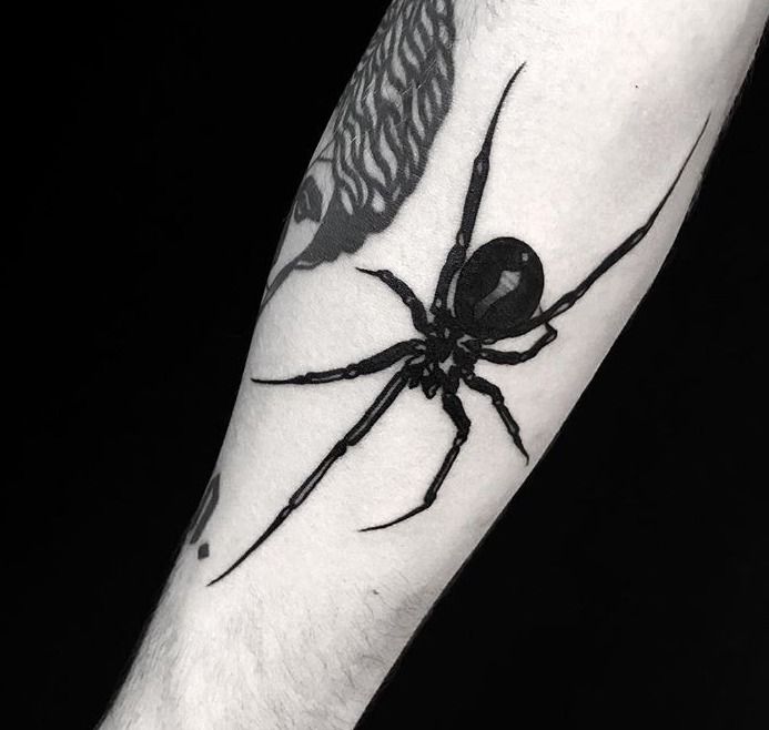 Spider Tattoo 77