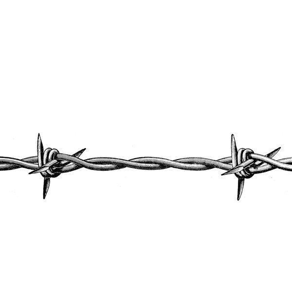 Barbed Wire Tattoo 174