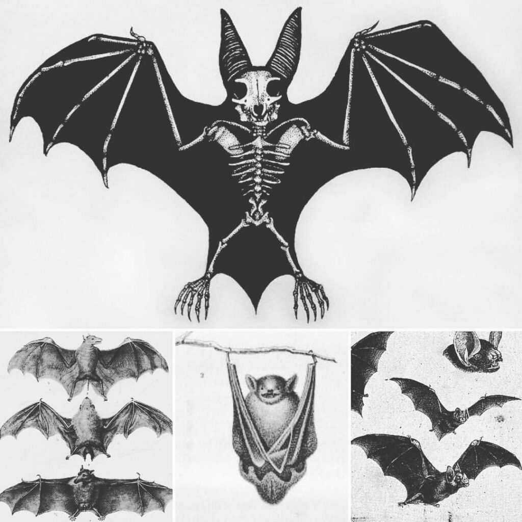 Bat Tattoos 83