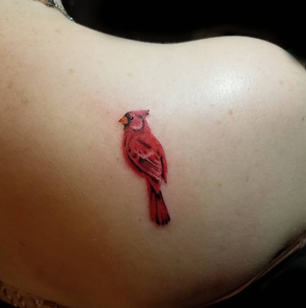 Cardinal Tattoo 1