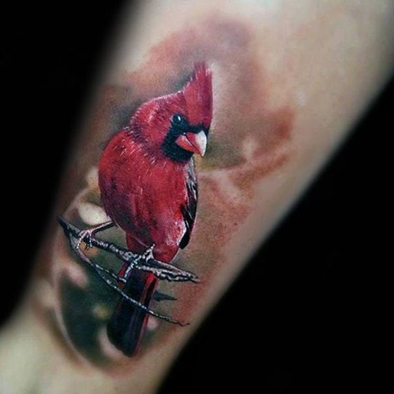 Cardinal Tattoo 10 1