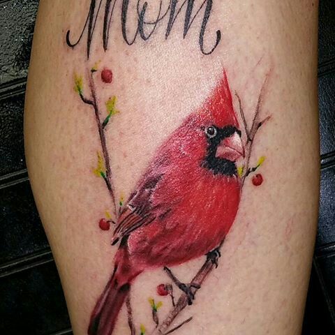 Cardinal Tattoo 101 1