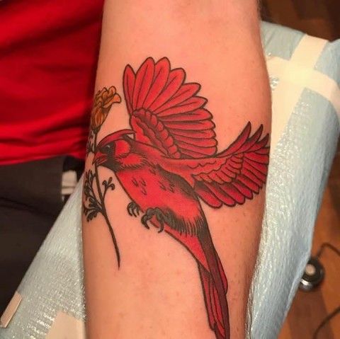 Cardinal Tattoo 105