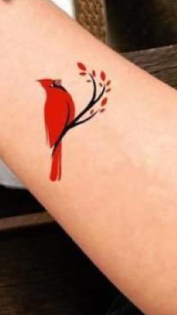 Cardinal Tattoo 107 1