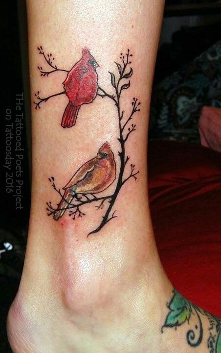 Cardinal Tattoo 110