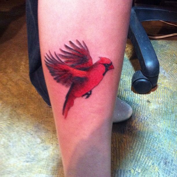 Cardinal Tattoo 114