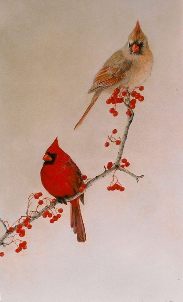 Cardinal Tattoo 117