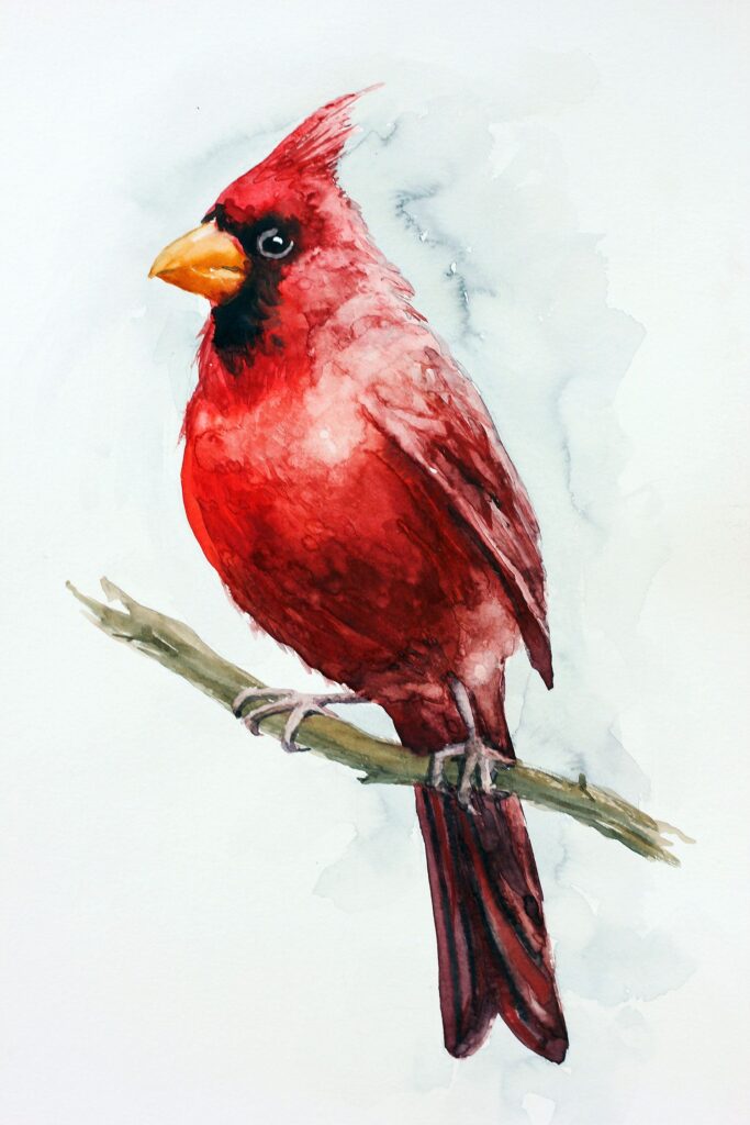 Cardinal Tattoo 118 1