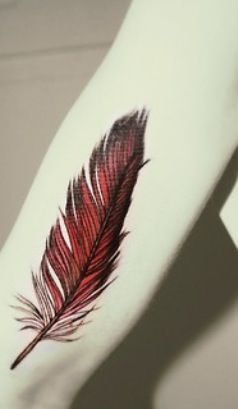 Cardinal Tattoo 135
