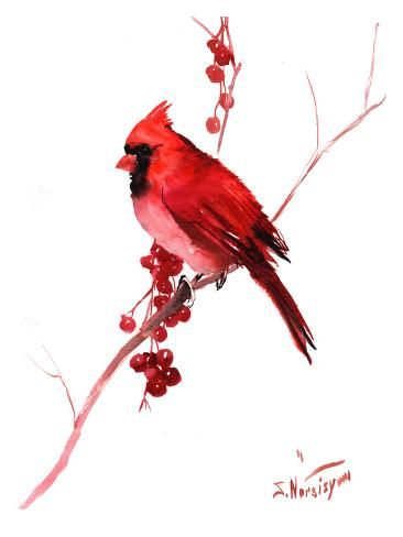Cardinal Tattoo 136 1