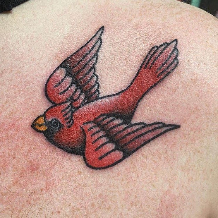 Cardinal Tattoo 138
