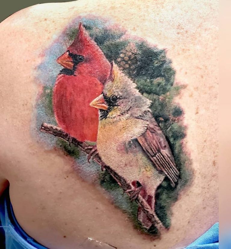 Cardinal Tattoo 146 1