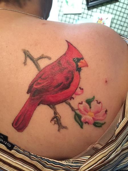 Cardinal Tattoo 152
