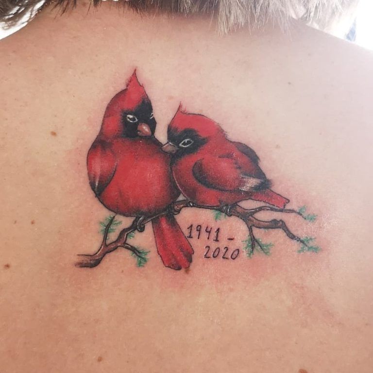 Cardinal Tattoo 156 1