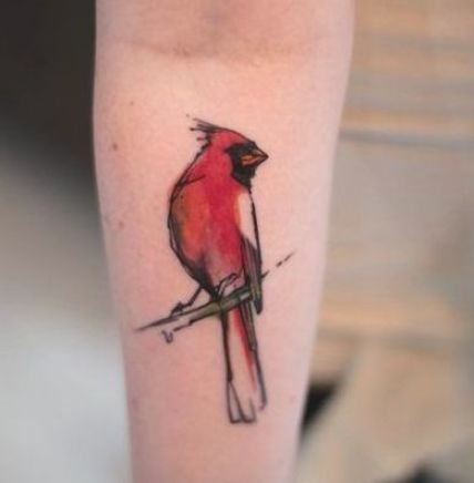 Cardinal Tattoo 157