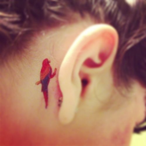 Cardinal Tattoo 158 1