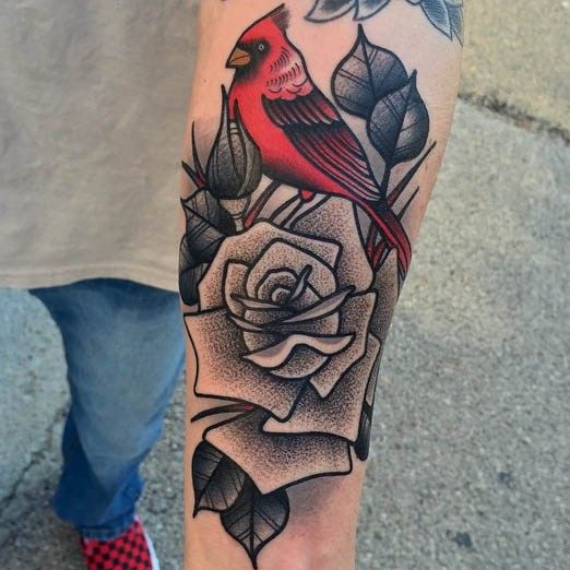 Cardinal Tattoo 16