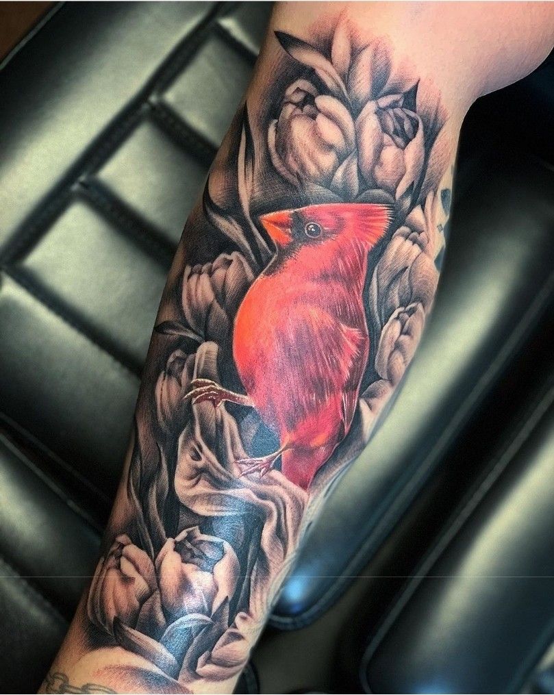 Cardinal Tattoo 162 1