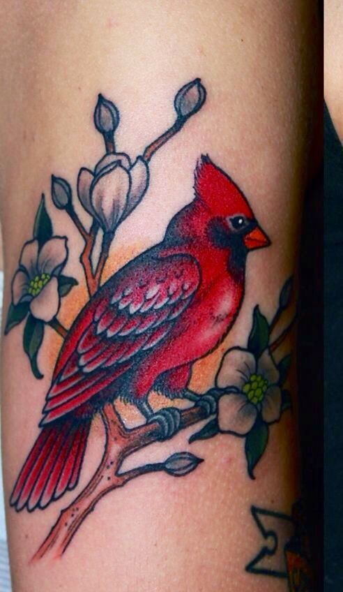 Cardinal Tattoo 172 1