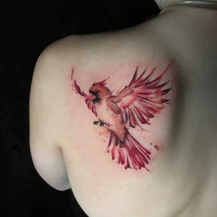 Cardinal Tattoo 19 1