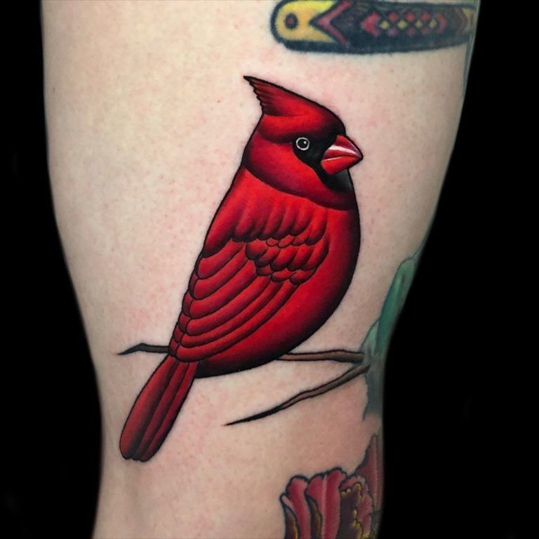 Cardinal Tattoo 2 1