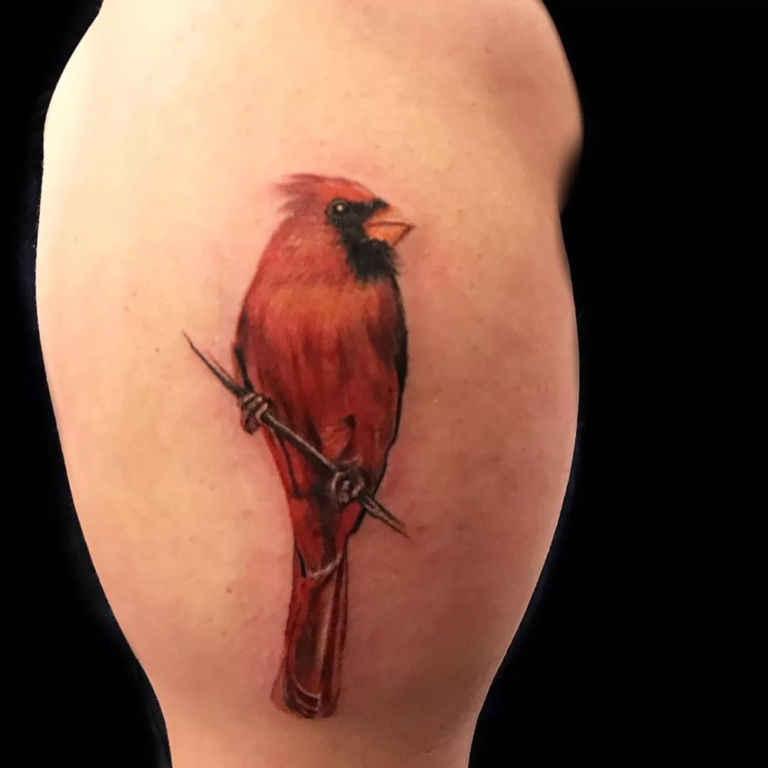 180 Best Cardinal Tattoos Designs With Meanings 2022 TattoosBoyGirl   Cardinal Tattoo 3 768x768 