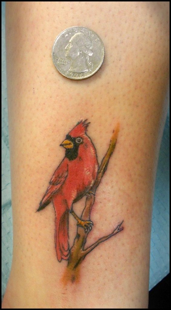 Cardinal Tattoo 3