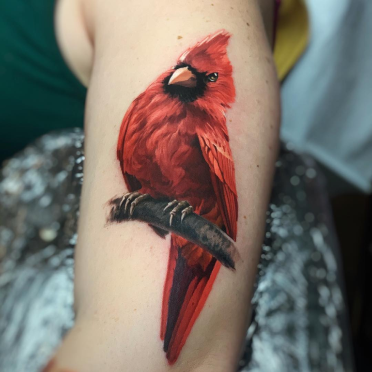 180+ Best Cardinal Tattoos Designs With Meanings (2022) - TattoosBoyGirl