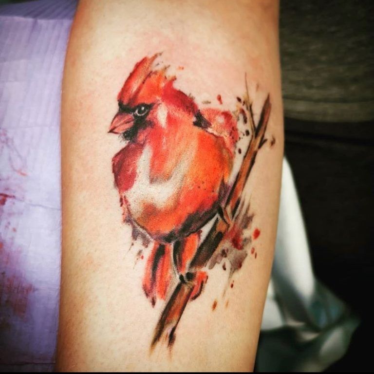 Cardinal Tattoo 50