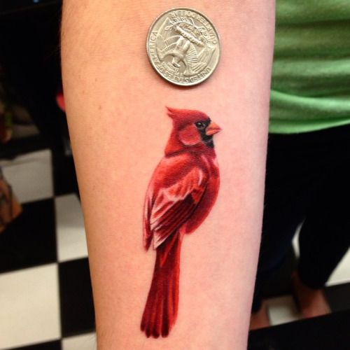 Cardinal Tattoo 52